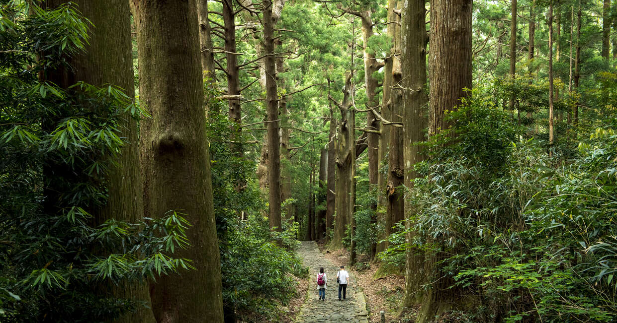 On the Kumano Kodo trail, Japan